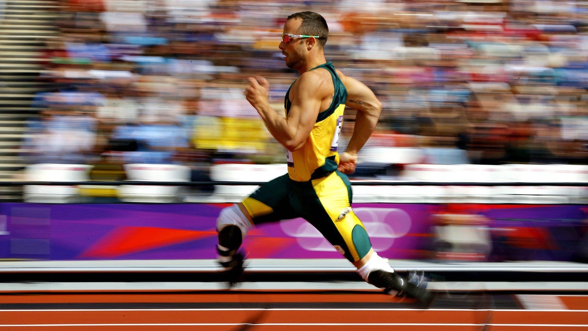 综合格斗赛场焦点!德国队对阵日本队,战况跌宕起伏,悬念直到终场